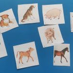 WhatsApp Image 2024-07-15 at 12.43.16_e22dad1d