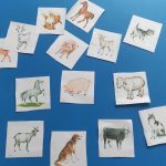 Домашние животные 2