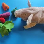 Домашние животные 5