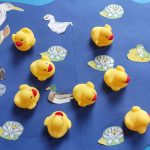 Домашние птицы 4