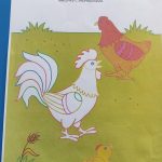 Домашние птицы 5