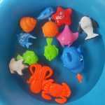 Морские животные 5