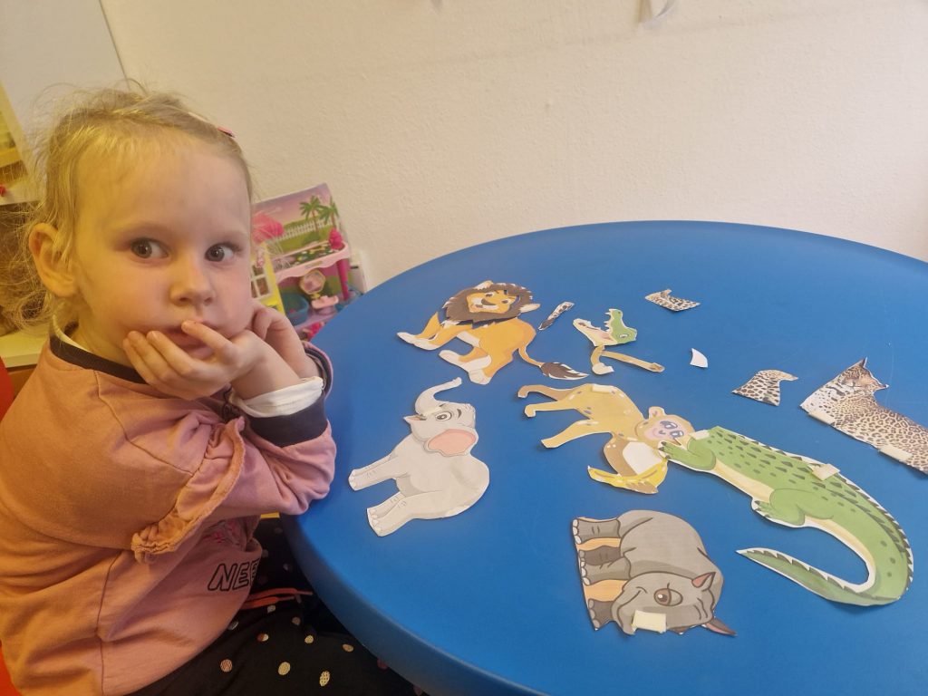 Животные жарких стран 009