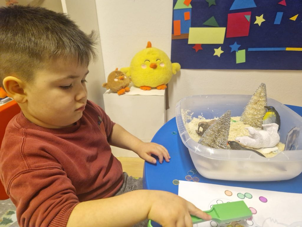 Занятие - Животные Севера Занятие - Животные Севера