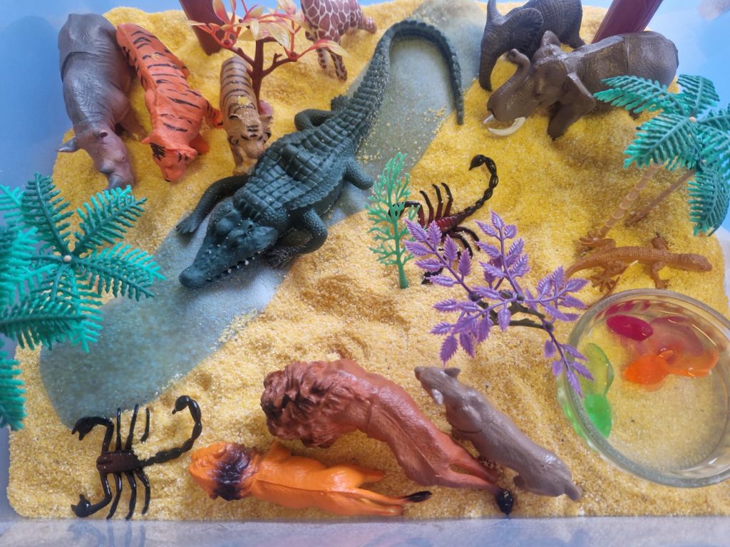 Сенсорная коробка - Животные жарких стран Сенсорная коробка - Животные жарких стран